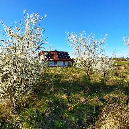 Lodge Domek Letniskowy Góra - Mazury Gora (Pisz)